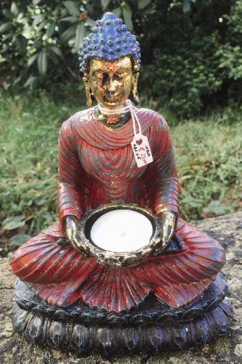 Buddha resina