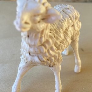 pecorella