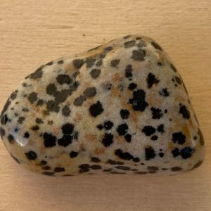 pietra dalmata