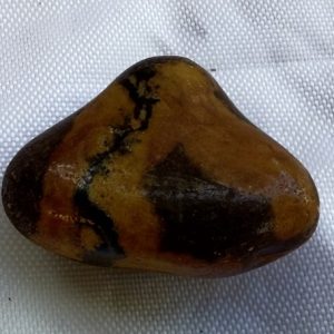 picture nguni pietra