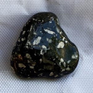 diaspro faraona congo