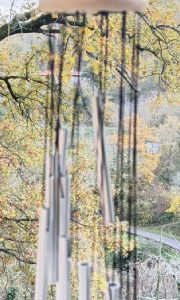 campana eolica legno disco