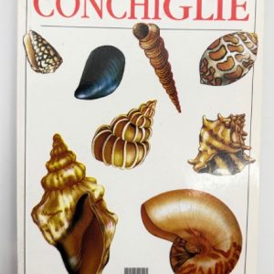libro conchiglie