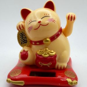 gattino cinese giallo