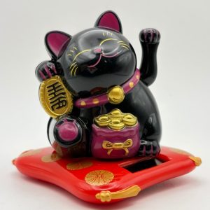 gattino nero