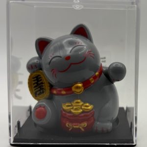 gattino grigio