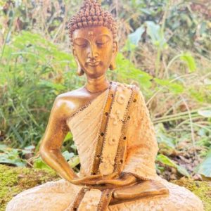 buddha thai