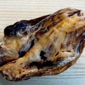 anomia simplex