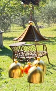 campana drago